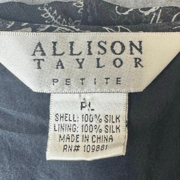 Allison Taylor Silk Blouse Women’s Petite Large Black Ruffle Whimsy Fairy Boho - Picture 2 of 14